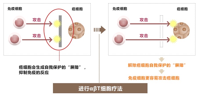 创造易于免疫机能发挥作用的环境